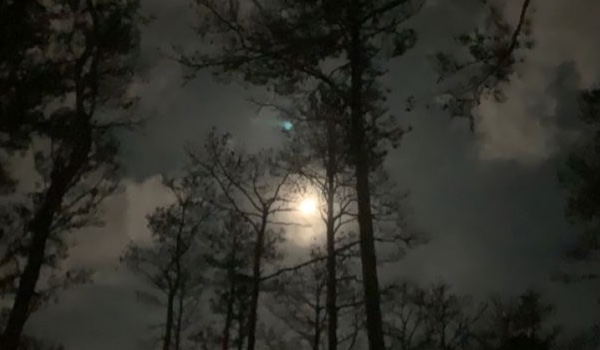 Les romances sombres |II|