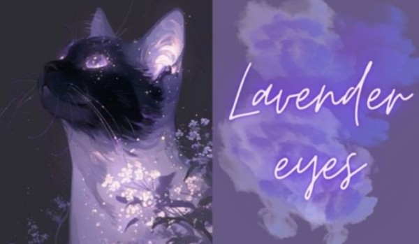 Lavender eyes | Rozdział 11