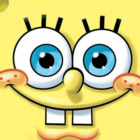 Sponge2013