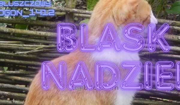 Blask Nadziei | rozdział 1 |