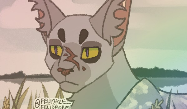 ,, Przekleństwo Cienia Cichego „