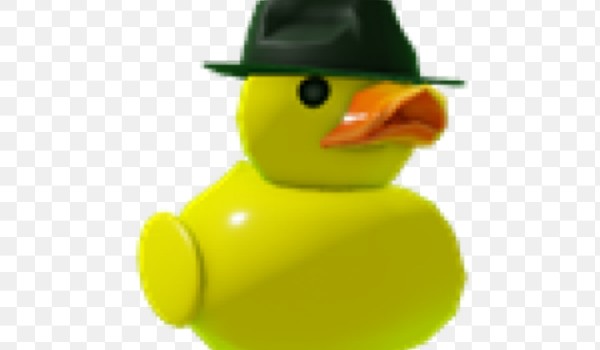 Czy lubisz KACZKI???