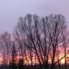 Milusia_Olgusia