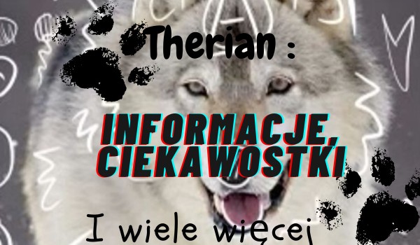 Therian : Informacje, ciekawostki, i wiele więcej – część pierwsza przewodnika po theriantropii
