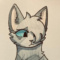 .Moon._.Cat.
