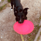 .Phenic_Leo_Eclipse.