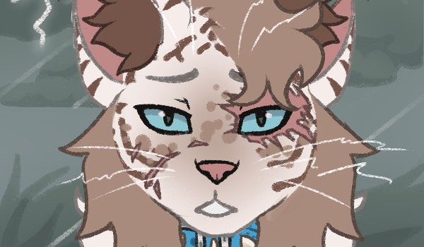 Wyniki pierwszego specjału