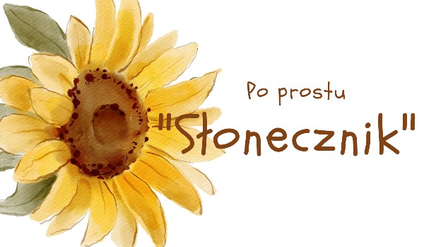 Po prostu „Słonecznik”