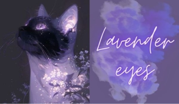 Lavender eyes | Rozdział 19