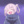 Nazuna123