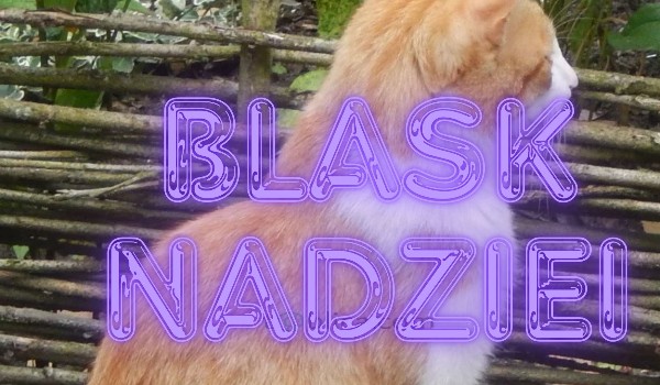 Blask Nadziei |Rozdział 2|