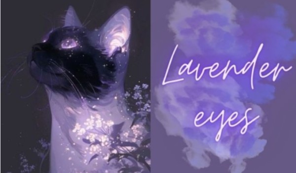 Lavender eyes | Rozdział 21