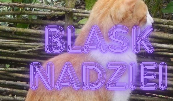 Blask Nadziei |Rozdział 4|