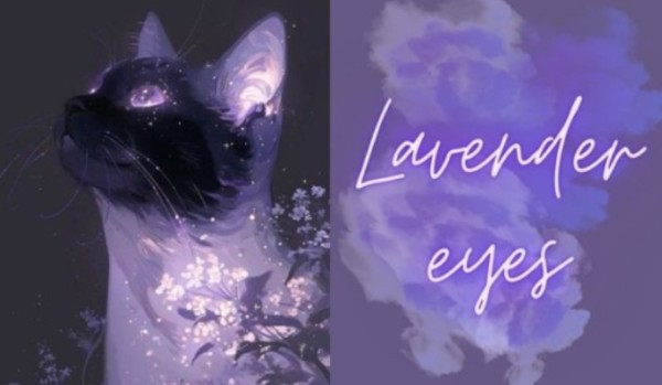 Lavender eyes | Rozdział 22