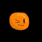Fan_mandarynek
