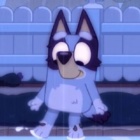 Hunter_wolf