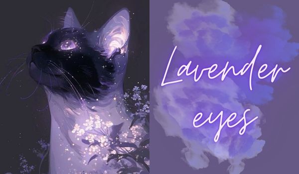 Lavender eyes | Rozdział 25