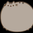 pusheenlove14