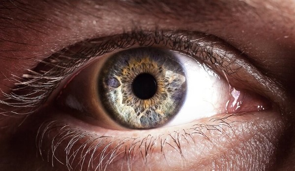 Budowa i funkcjonowanie narządu wzroku