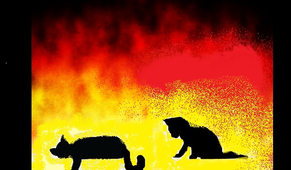 life among the shadow |three shots|