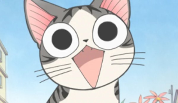 Witaj w pierwszym quizie!!!!