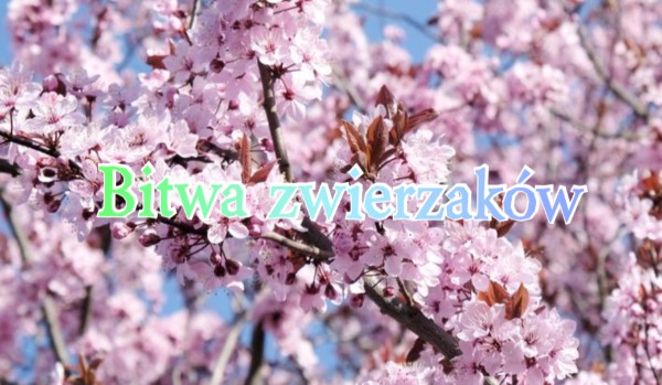 Bitwa zwierzaków [półfinał]