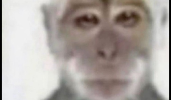 Help Chimbot escape prison! Wilczy Quiz part 5!!!