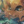 Miuuu_wild_cat