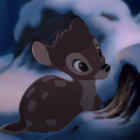 Bambi_10389