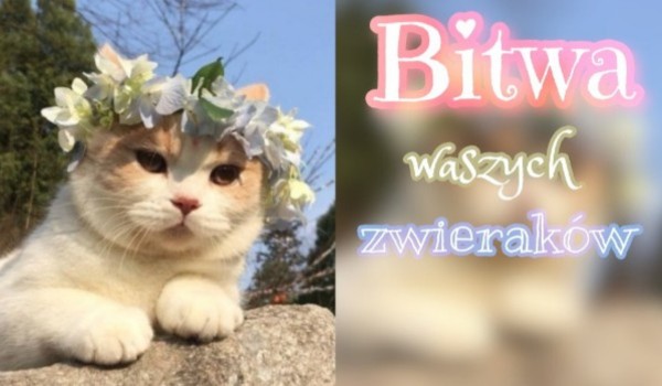 Bitwa zwierzaków półfinał