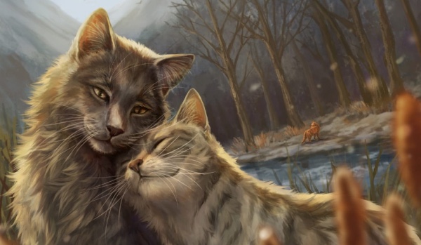 Część 1 – Ocenianie okładek!