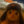 thenoae