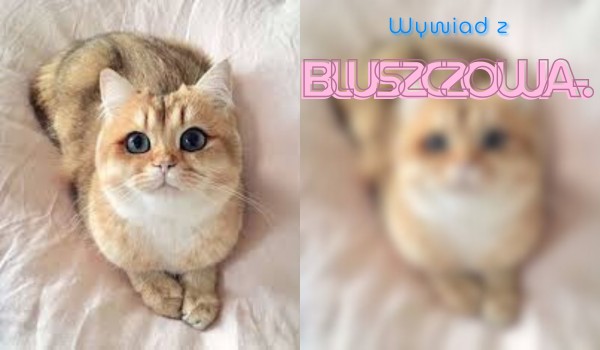 Wywiad z Bluszczowa-.