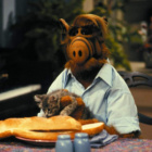 .ALF.