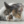 WINEK95
