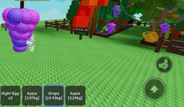 Test z grow a garden