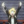 Molcia-bakugofan
