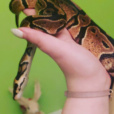 Demeri