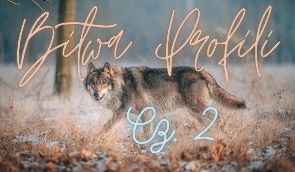 Bitwa Profili cz. 2 •| Specjał na 200 obs |•