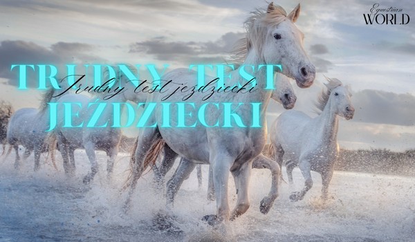 TRUDNY TEST JEŹDZIECKI! Przejdziesz go?