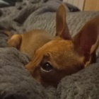 nati_555