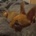nati_555