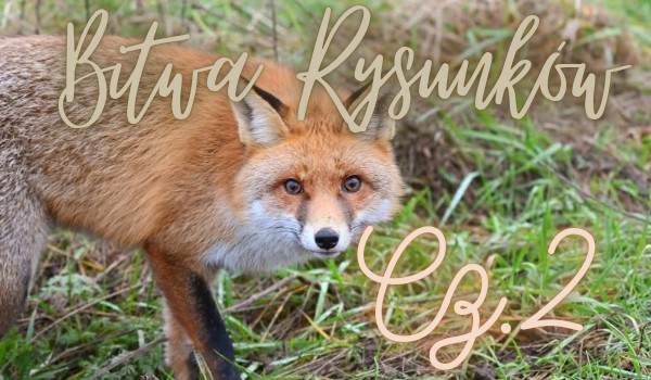 Bitwa Rysunków •| Specjał na 200 obs |•