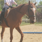 Equestrian_Life