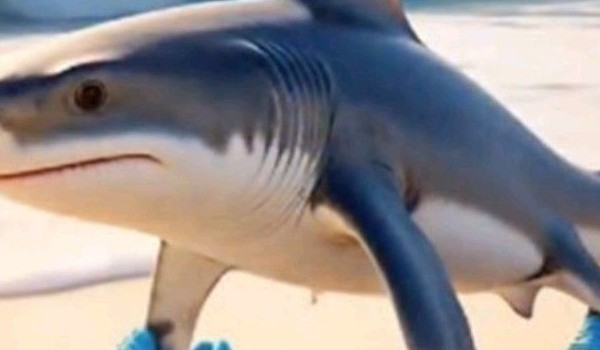 Rozklockowany to debile