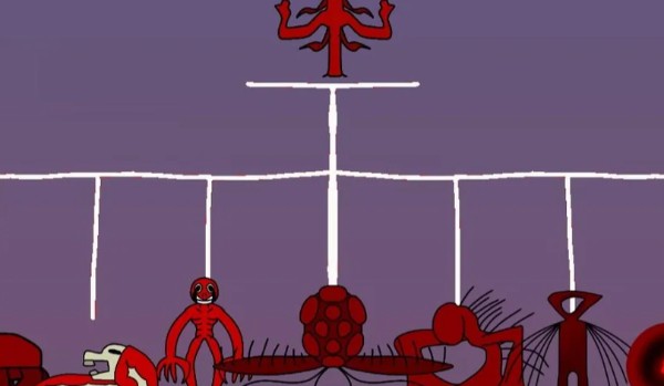 Test Wiedzy o Vita Carnis