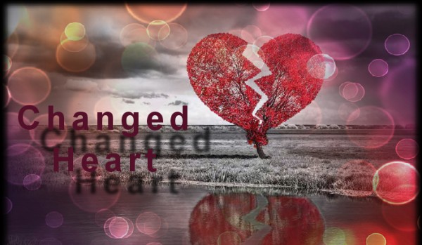 Changed Heart| opowiadanie 2-?