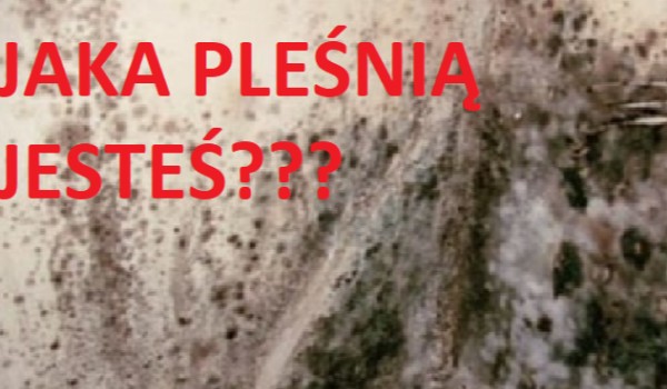 Jaką pleśnią jesteś?