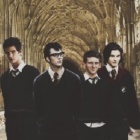 draco_malfoyxd