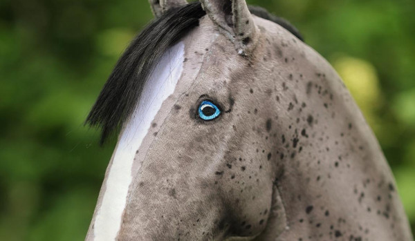 czy jesteś hobby horsiarą